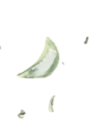 茶葉